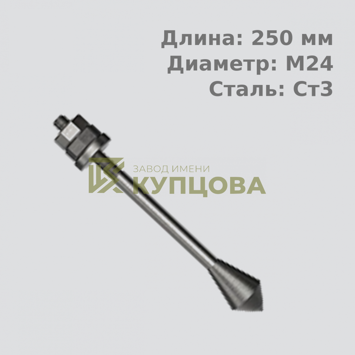 24х250 6.2 Фундаментный анкерный болт ГОСТ 24379.1-80(2012), Ст3, Резьба 110